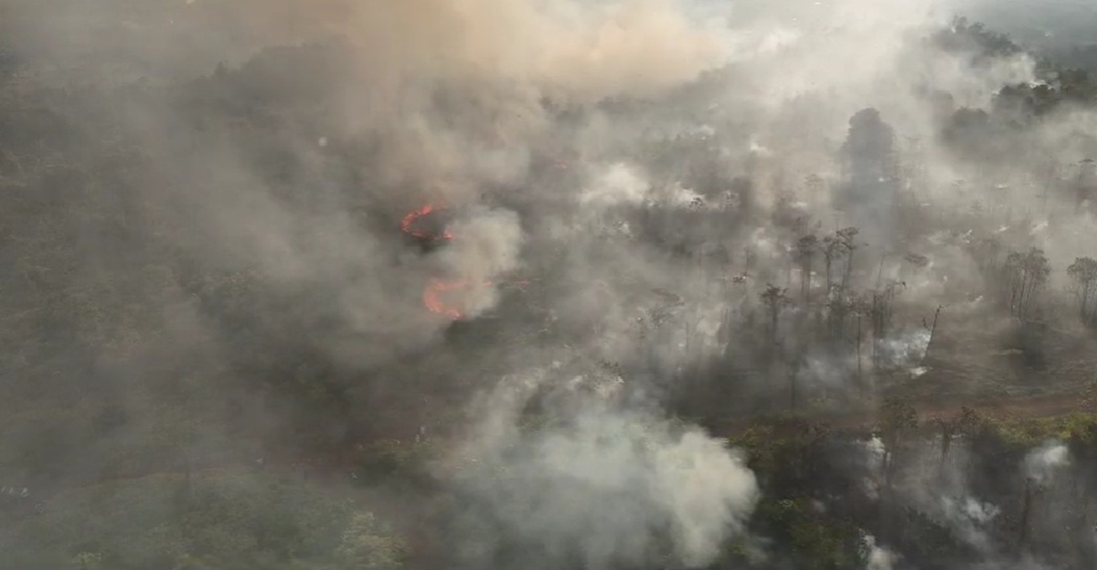 Kebakaran hutan dan lahan di kawasan perbukitan Desa Puncak Indah, Kecamatan Malili, Luwu Timur, Kamis (27/8/2026).