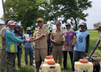 Penyerahan bantuan sarana pengendalian OPT kepada petani di Desa Kalatiri, Kecamatan Burau, Luwu Timur, Senin 28 April 2025. (Foto: Kominfo SP Lutim)