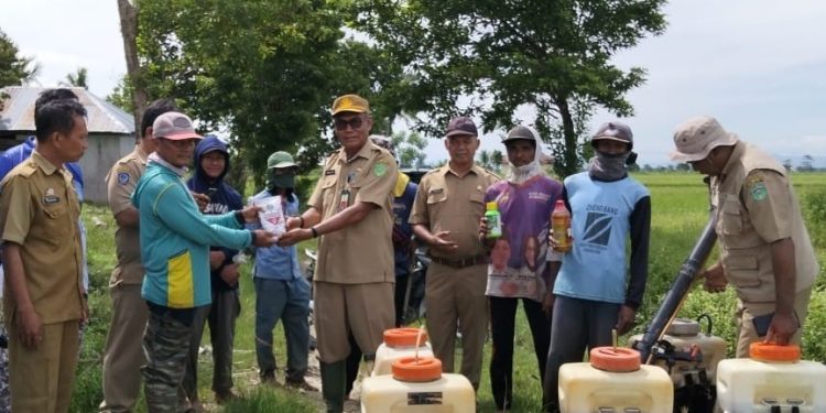 Penyerahan bantuan sarana pengendalian OPT kepada petani di Desa Kalatiri, Kecamatan Burau, Luwu Timur, Senin 28 April 2025. (Foto: Kominfo SP Lutim)