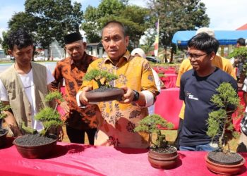 Bupati Luwu Timur, Irwan Bachri Syam, melihat karya bonsai dalam Pameran Bonsai Jilid II yang diselenggarakan oleh Komunitas Bonsai Area Towuti (Kombat) di Lapangan Sirio-rio, Kecamatan Towuti.(Foto: Dinas Kominfo SP Luwu Timur)