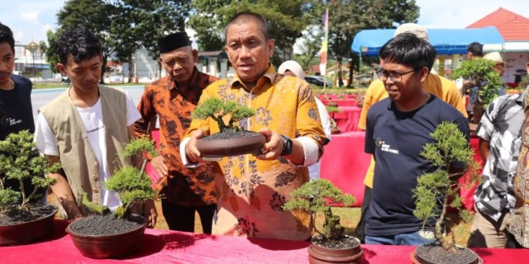 Bupati Luwu Timur, Irwan Bachri Syam, melihat karya bonsai dalam Pameran Bonsai Jilid II yang diselenggarakan oleh Komunitas Bonsai Area Towuti (Kombat) di Lapangan Sirio-rio, Kecamatan Towuti.(Foto: Dinas Kominfo SP Luwu Timur)
