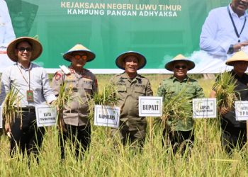 Bupati Luwu Timur, Irwan Bachri Syam, bersama unsur Forum Forkopimda menghadiri panen raya padi di Desa Wanasari, Kecamatan Angkona, Minggu 4 Mei 2025. (Foto: Dinas Kominfo-SP Lutim)