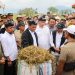 Bupati Luwu Timur, Irwan Bachri Syam mendampingi Menteri Pertanian Andi Amran Sulaiman menyaksikan Panen Raya padi di Desa Margomulyo, Kecamatan Tomoni Timur, Senin 19 Mei 2025. (Foto: Kominfo SP Lutim)