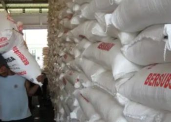 Ilustrasi pupuk gratis.