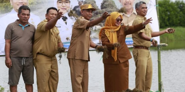 Wakil Bupati Luwu Timur, Puspawati Husler Bersama sejumlah pejabat menebar bibit rumput laut jenis gracilaria di Desa Lakawali Pantai, Kecamatan Malili, Senin 2 Juni 2025. (Foto:Kominfo-SP Lutim)