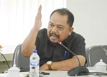 Anggota DPRD Luwu Timur dari Fraksi NasDem.