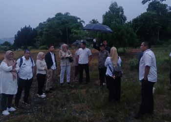 Tim SSIC 2025 meninjau lokasi kawasan industri Luwu Timur di Desa Pasi-Pasi, Rabu 2 Juli 2025. (Foto: Warta Lutim)