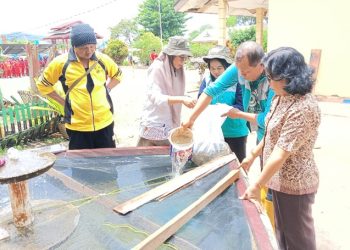 Cegah DBD, Pemkab Luwu Timur Lepas Ribuan Ikan Nila Pemangsa Jentik Nyamuk
