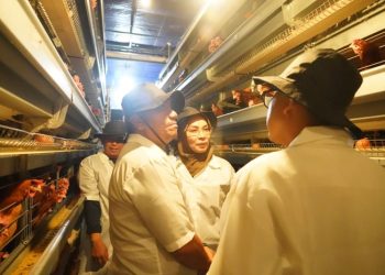 Bupati Lutim Pelajari Agribisnis Sukses di Blitar, Siap Adopsi Model Peternakan Modern