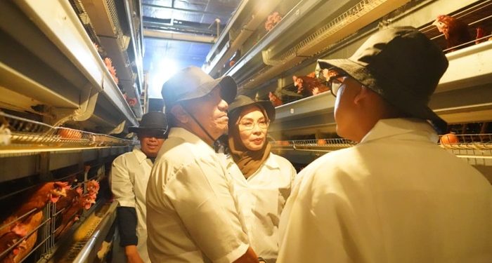 Bupati Lutim Pelajari Agribisnis Sukses di Blitar, Siap Adopsi Model Peternakan Modern