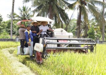 Bupati Luwu Timur Dorong Kemandirian Benih dan Perlindungan Harga Gabah Petani