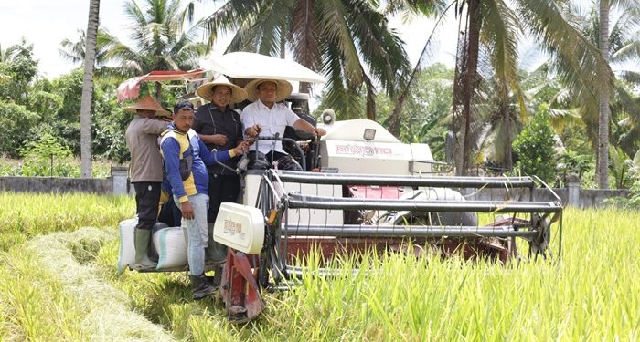 Bupati Luwu Timur Dorong Kemandirian Benih dan Perlindungan Harga Gabah Petani