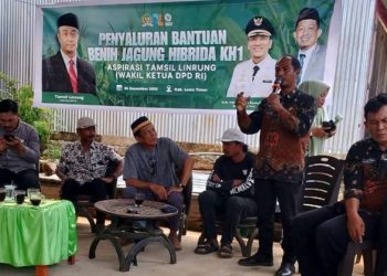 Rusdi Layong Apresiasi Bantuan Benih Jagung dari Wakil Ketua DPD RI