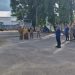 Pimpin Apel Pagi, Camat Wasuponda Tekankan Disiplin dan Pelayanan Publik