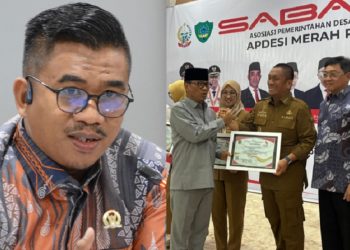 Anggota DPRD Luwu Timur, Firman Udding mengapresiasi penghargaan nasional yang diterima Bupati Irwan.