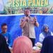 Pesta panen di Desa TAwakua, Kecamatan Angkona, Sabtu 8 November 2025.