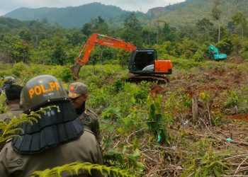 Kegiatan land clearing atau pembersihan lahan PSN PT IHIP di kawasan Lampia, Desa Harapan, Kecamatan Malili, Rabu 29 April 2026. Foto: Jaeja.id