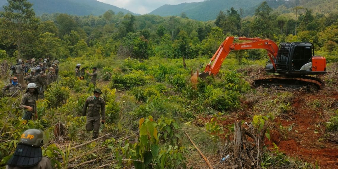 Pembersihan lahan atau land clearing lokasi PSN PT IHIP di Lampia, Desa Harapan, Kecamatan Malili, Rabu (29/04/2026). Foto: jaeja.id