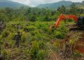 Pembersihan lahan atau land clearing lokasi PSN PT IHIP di Lampia, Desa Harapan, Kecamatan Malili, Rabu (29/04/2026). Foto: jaeja.id