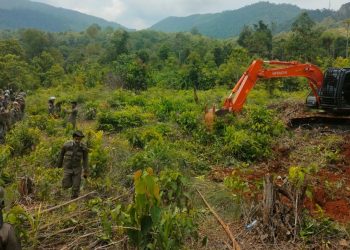 Pembersihan lahan atau land clearing lokasi PSN PT IHIP di Lampia, Desa Harapan, Kecamatan Malili, Rabu (29/04/2026). Foto: jaeja.id