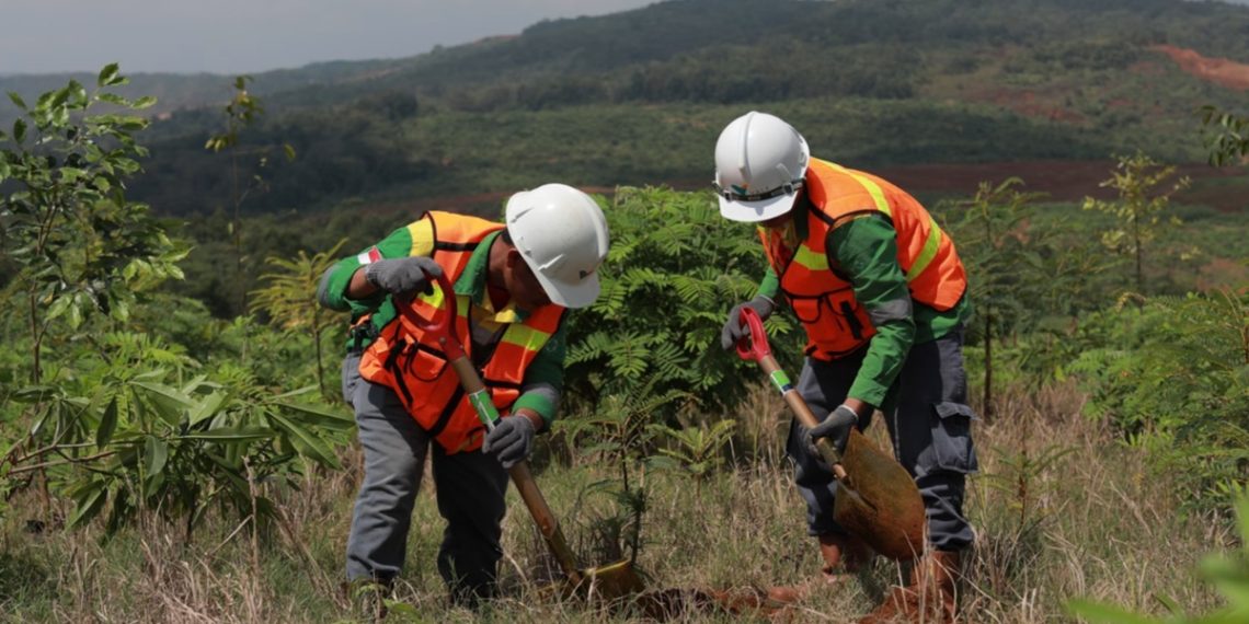 PT Vale Indonesia mencatat 50,23 persen lahan pascatambang sudah direklamasi hingga 2025. Foto: Vale.com