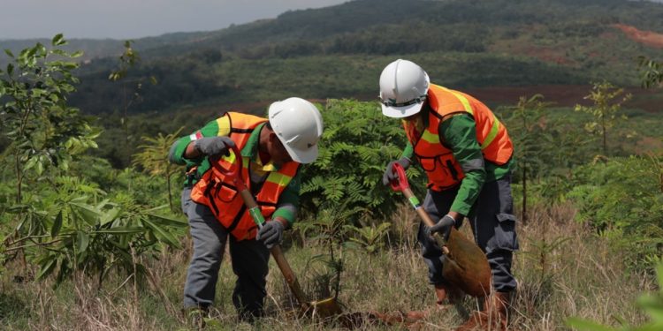 PT Vale Indonesia mencatat 50,23 persen lahan pascatambang sudah direklamasi hingga 2025. Foto: Vale.com
