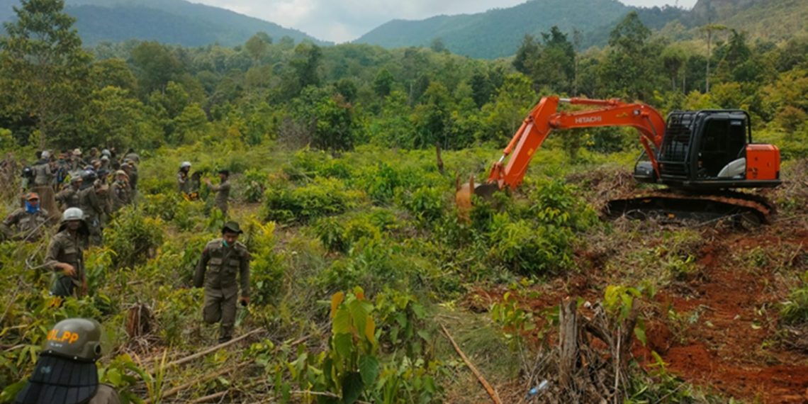 Land clearing atau pembersihan lahan Pemkab Luwu Timur di Dusun Laoli yang akan dikelola PT IHIP, Rabu (29/03/2026). Foto: Jaeja.id
