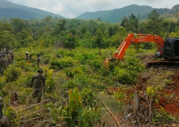 Land clearing atau pembersihan lahan Pemkab Luwu Timur di Dusun Laoli yang akan dikelola PT IHIP, Rabu (29/03/2026). Foto: Jaeja.id