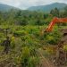 Land clearing atau pembersihan lahan Pemkab Luwu Timur di Dusun Laoli yang akan dikelola PT IHIP, Rabu (29/03/2026). Foto: Jaeja.id