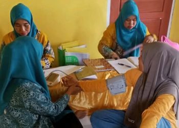 TP PKK Desa Lampenai menginisiasi pemeriksaan kesehatan rutin terhadap warga terutama balita dan lansia. Foto: IST