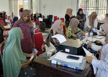 Pendampingan UMKM olahan dange yang digelar Dinas Koperindag Luwu Timur di Aula Kantor Camat Wotu, Rabu (01/04/2026). Foto: jaeja.id
