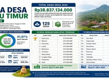 Grafis distribusi dana desa di Luwu Timur.