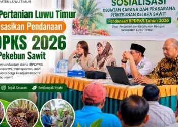 Sosialisasi dana BPDPKS 2026 di Aula Kantor Kecamatan Tomoni, Rabu (13/05/2026). Foto:IST