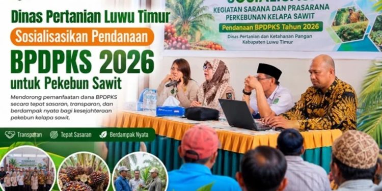 Sosialisasi dana BPDPKS 2026 di Aula Kantor Kecamatan Tomoni, Rabu (13/05/2026). Foto:IST