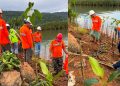Karyawan PT PUL menanam ratusan mangrove di Desa Ussu, Luwu Timur, Jumat (12/06/2026), sebagai komitmen pelestarian lingkungan dan perlindungan pesisir. Foto: IST