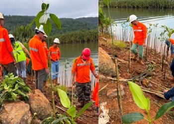 Karyawan PT PUL menanam ratusan mangrove di Desa Ussu, Luwu Timur, Jumat (12/06/2026), sebagai komitmen pelestarian lingkungan dan perlindungan pesisir. Foto: IST