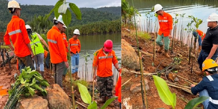 Karyawan PT PUL menanam ratusan mangrove di Desa Ussu, Luwu Timur, Jumat (12/06/2026), sebagai komitmen pelestarian lingkungan dan perlindungan pesisir. Foto: IST