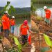 Karyawan PT PUL menanam ratusan mangrove di Desa Ussu, Luwu Timur, Jumat (12/06/2026), sebagai komitmen pelestarian lingkungan dan perlindungan pesisir. Foto: IST