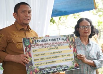 Bupati Luwu Timur menyerahkan bantuan pertanian Rp12,4 miliar pada acara Gerakan Tanam Cabai, di Kebun Hortikultura Desa Balai Kembang, Kecamatan Mangkutana, Senin (29/6/2026). Foto: Kominfo-SP