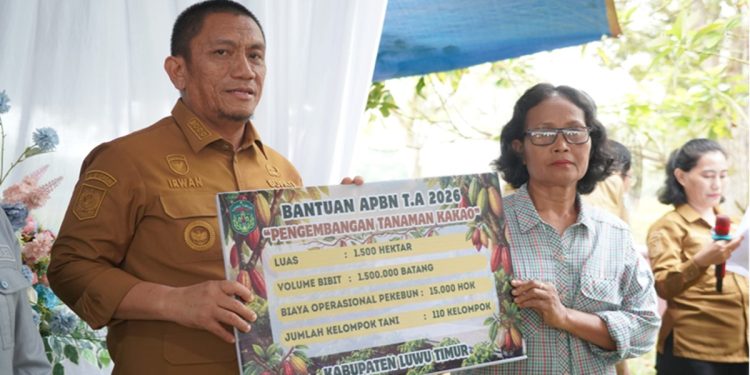 Bupati Luwu Timur menyerahkan bantuan pertanian Rp12,4 miliar pada acara Gerakan Tanam Cabai, di Kebun Hortikultura Desa Balai Kembang, Kecamatan Mangkutana, Senin (29/6/2026). Foto: Kominfo-SP