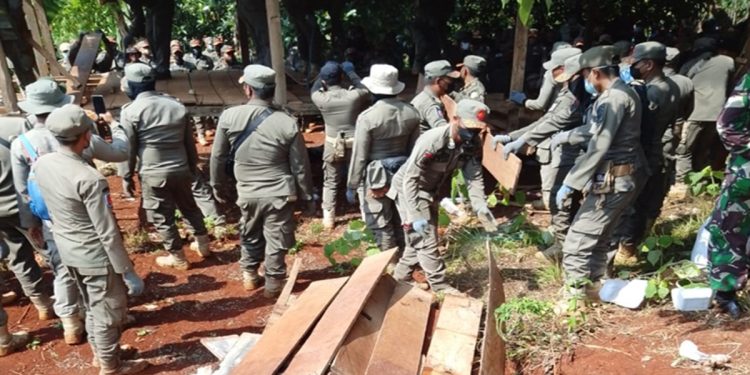 Petugas mengumpulkan papan dan tiang bekas aran rumah warga dalam giat pengosongan lahan Laoli, Desa Harapan, Kamis (30/07/). Foto: inputrakyat