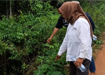 Peninjauan lokasi longsor Jalan Kawata, Kamis (11/06/2026). Foto: IST