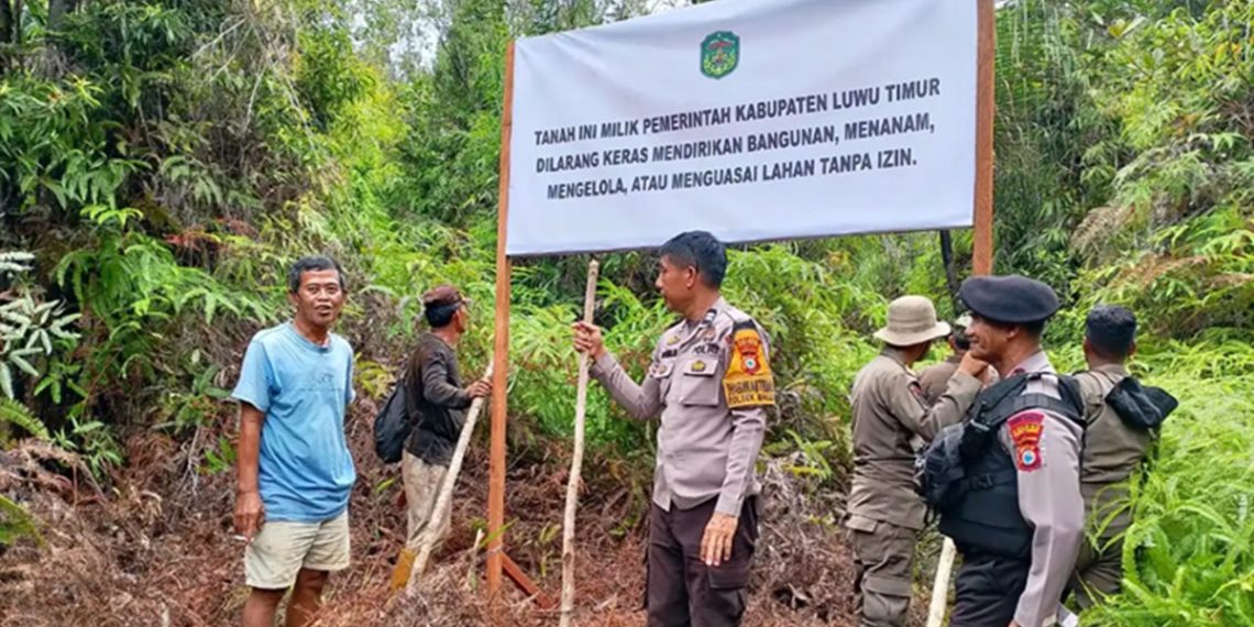 Lahan Pemkab Luwu Timur di Dusun Laoli yang akan dijadikan kawasan PSN.