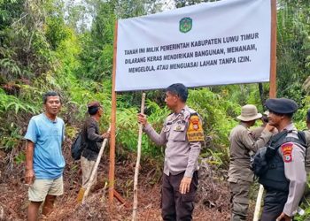 Lahan Pemkab Luwu Timur di Dusun Laoli yang akan dijadikan kawasan PSN.