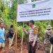 Lahan Pemkab Luwu Timur di Dusun Laoli yang akan dijadikan kawasan PSN.