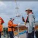 Aktivitas di Pelabuhan Balantang, Luwu Timur.