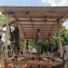 Pembongkaran rumah petani yang mengelola aset Pemkab Luwu Timur di Laoli Desa Harapan, Kecamatan Malili, Kamis (30/07/2026). foto: jaeja.id