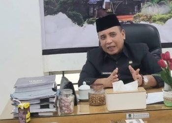 Ketua Fraksi GPR DPRD Luwu Timur Sarkawi A Hamid menyoroti pentingnya keamanan bagi investasi daerah.