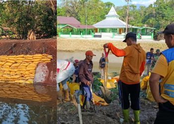 Tim Reaksi Cepat PUPR Luwu Timur bersama warga memperkuat tanggul irigasi di Desa Sindu Agung Kecamatan Mangkutana, Kamis (25/06/2026). Foto: IST