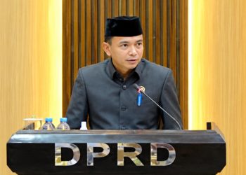 Anggota DPRD Luwu Timur dari Partai Hanura, Aprianto Mappe.